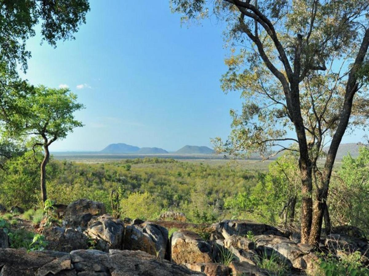 Buffalo Ridge Safari * Madikwe Game Reserve