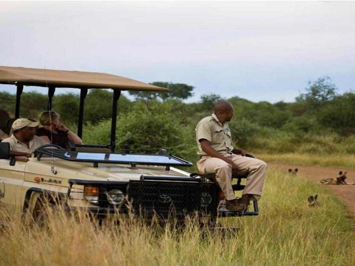 Buffalo Ridge Safari *